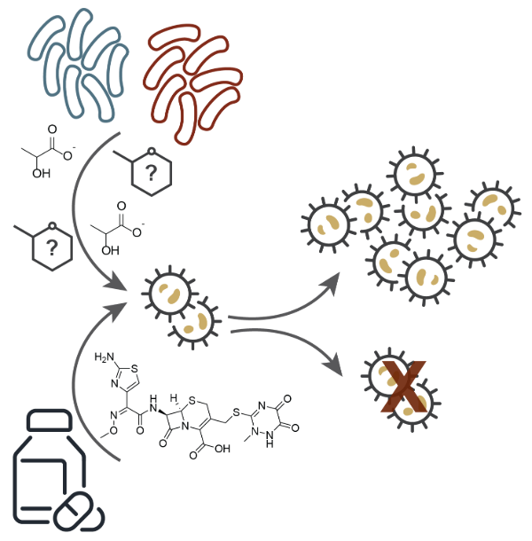community metabolism figure